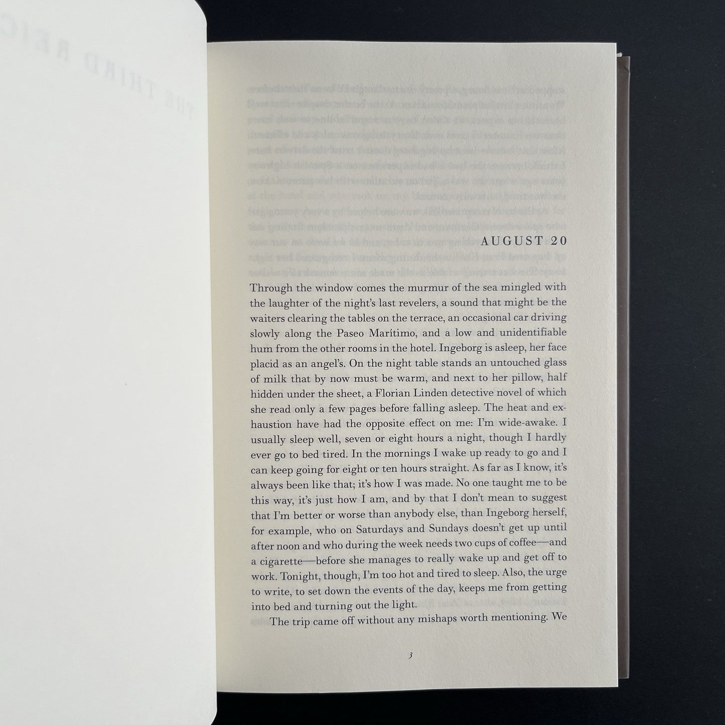 The Third Reich by Roberto Bolano