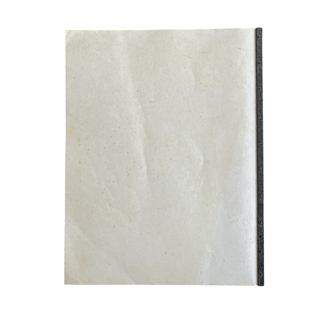 Medea with Child: A Play by Janet Burroway