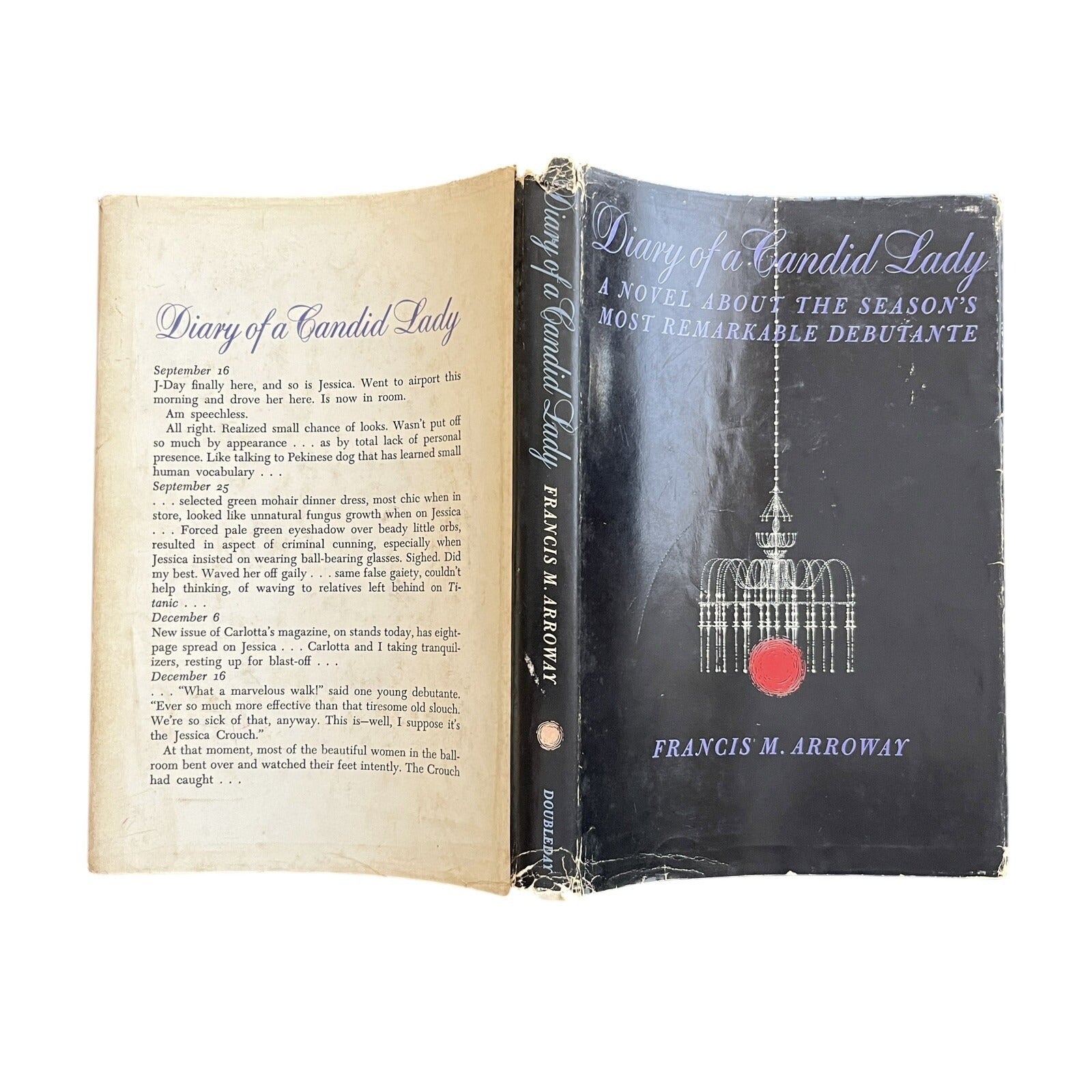 Diary of a Candid Lady by Francis M. Arroway