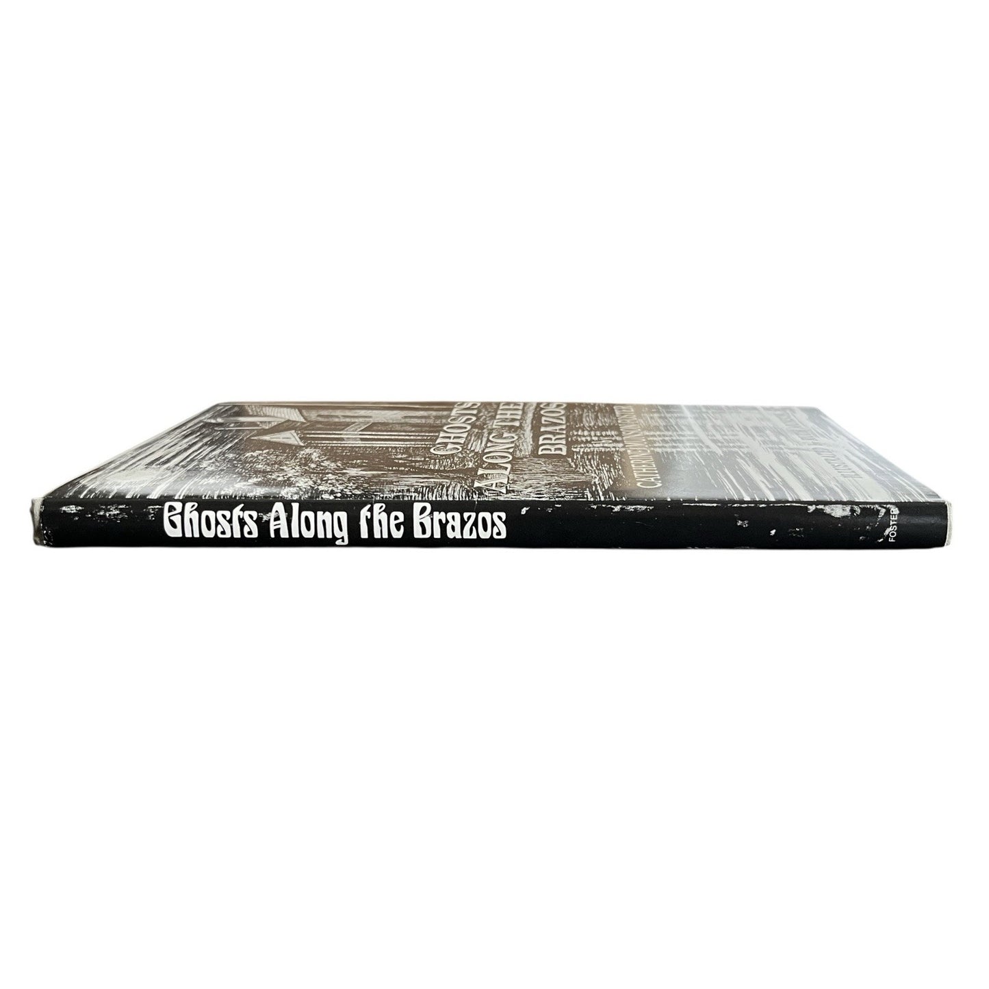 Ghosts Along the Brazos by Catherine Munson Foster