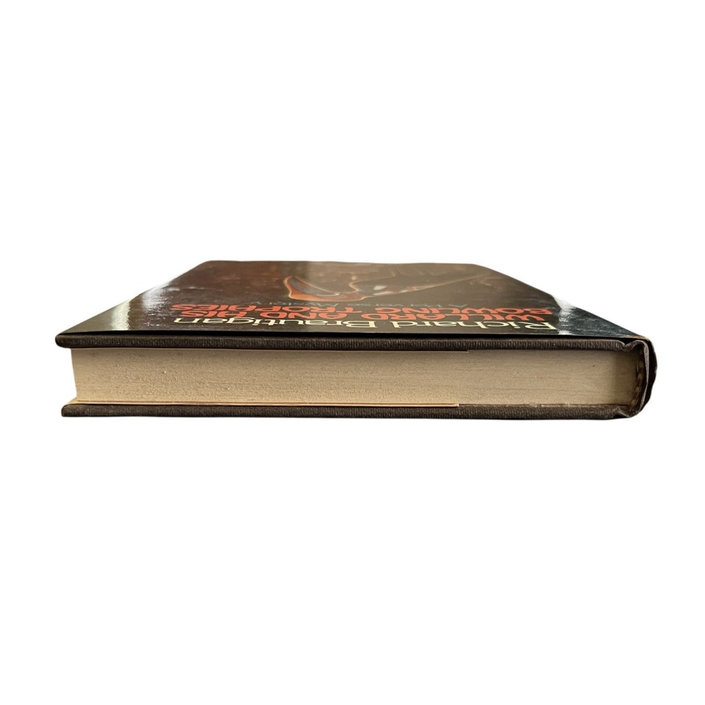 Willard and His Bowling Trophies by Richard Brautigan