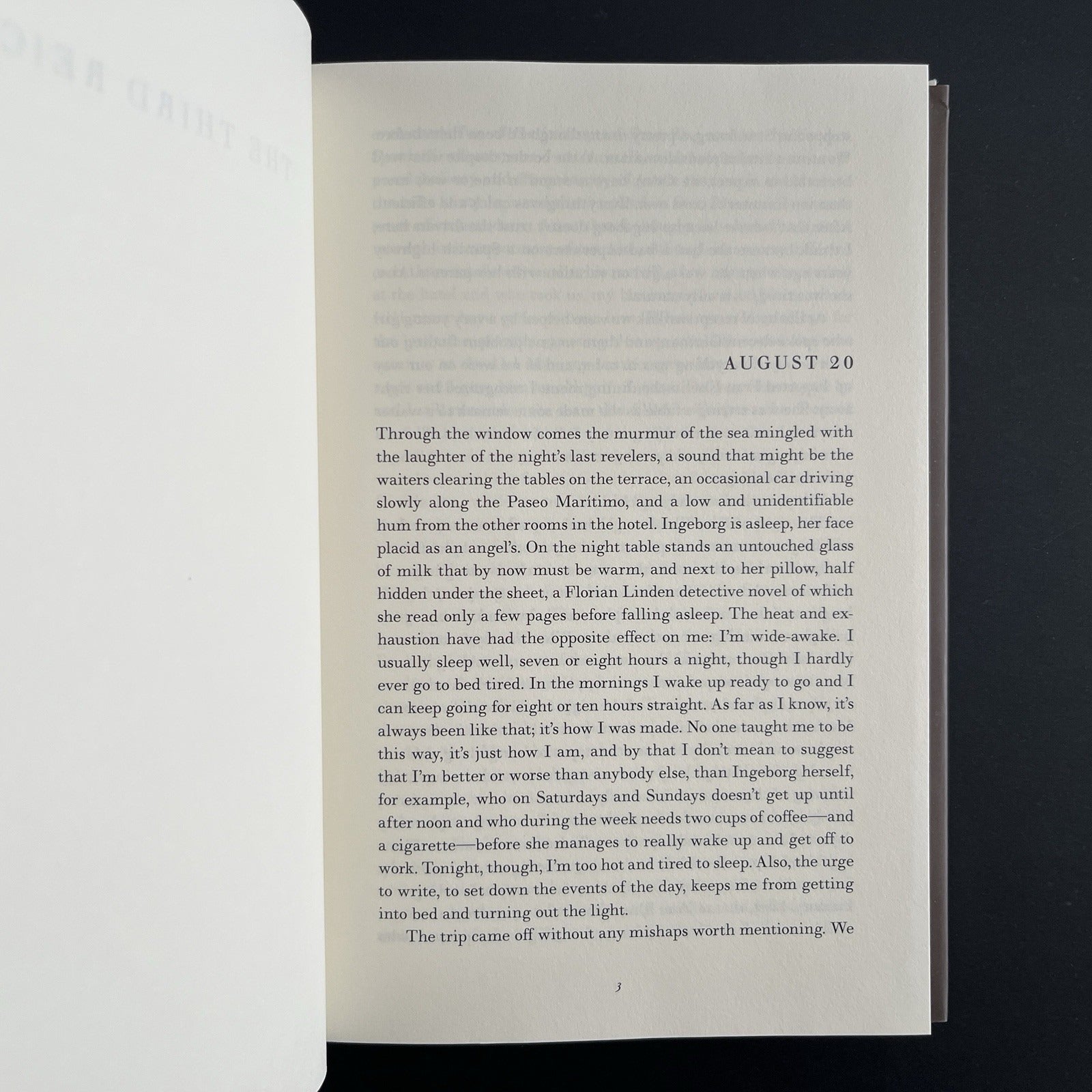 The Third Reich by Roberto Bolano