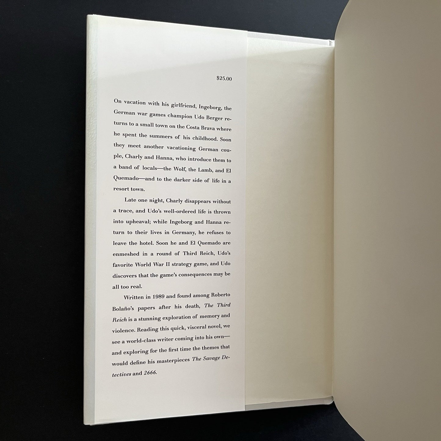 The Third Reich by Roberto Bolano