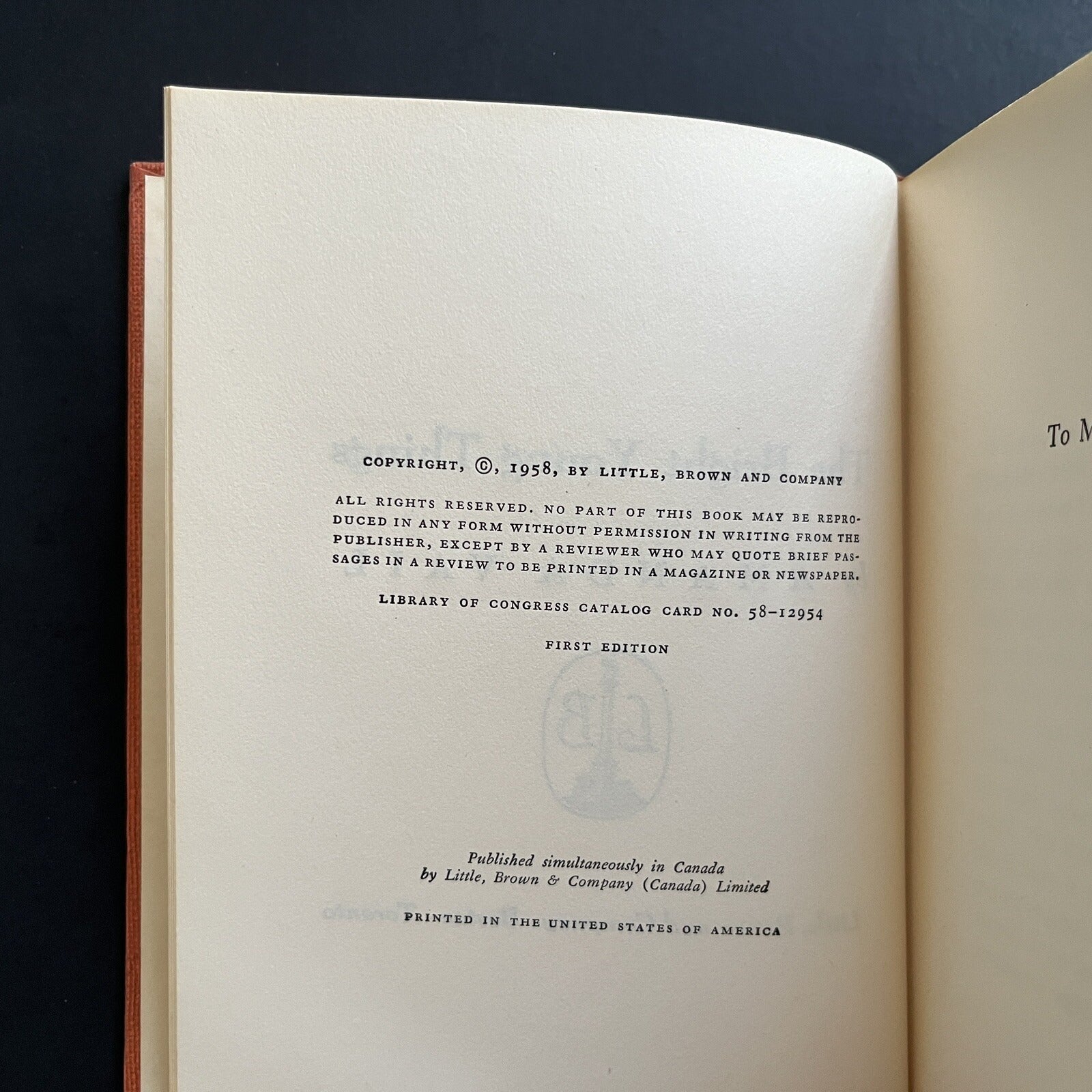 The Bright Young Things by Amanda Vail