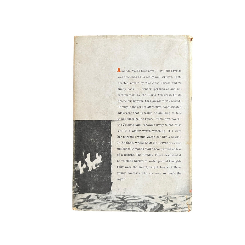 The Bright Young Things by Amanda Vail