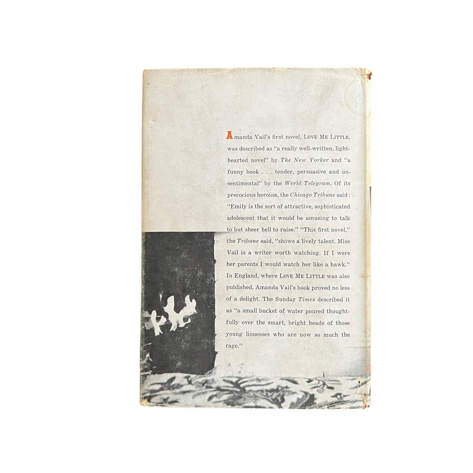 The Bright Young Things by Amanda Vail