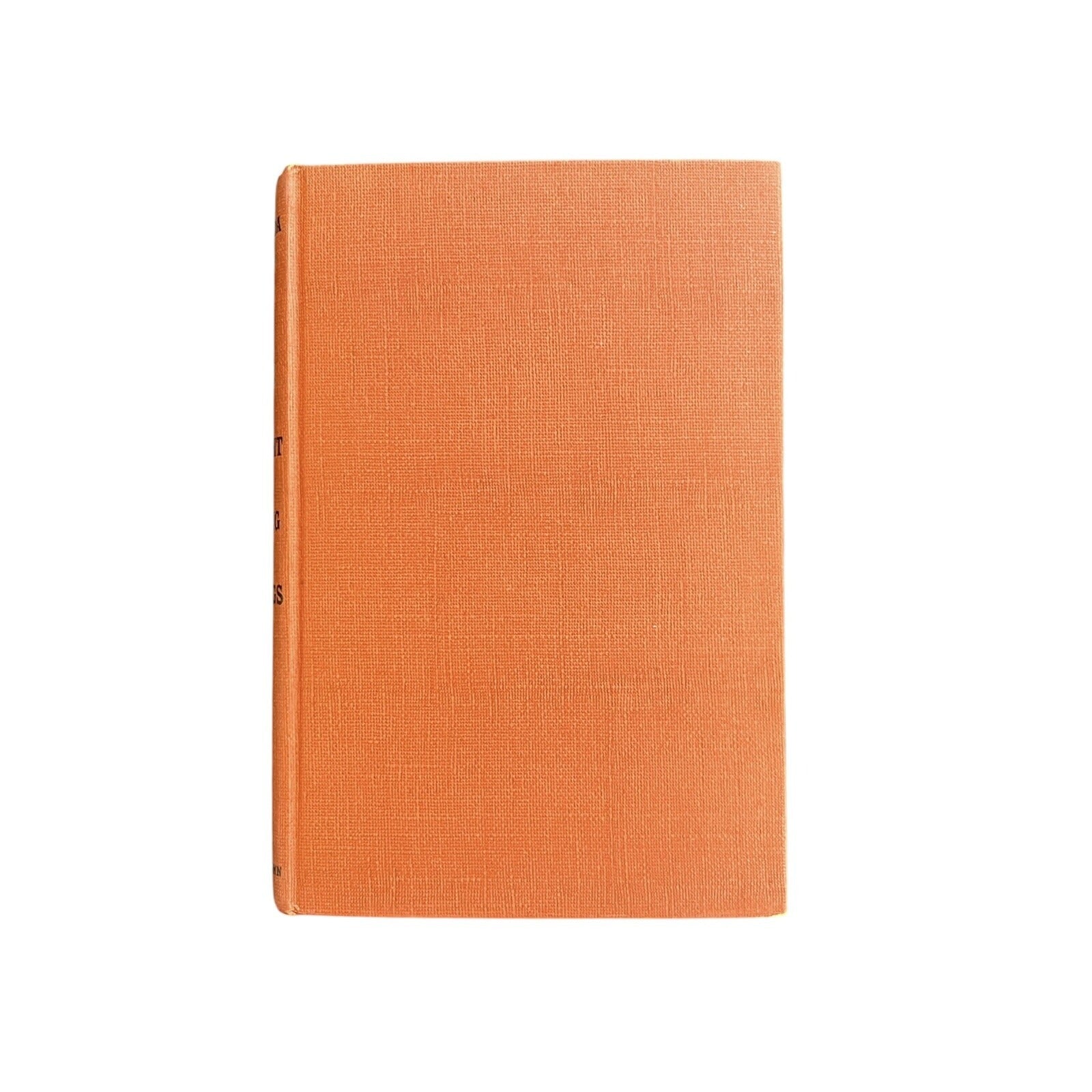 The Bright Young Things by Amanda Vail