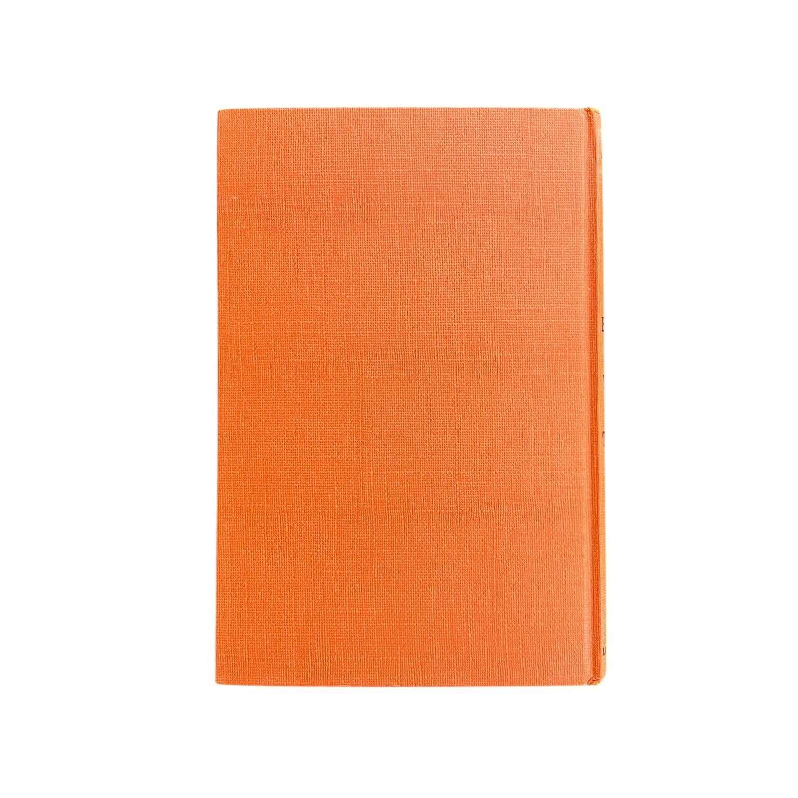 The Bright Young Things by Amanda Vail