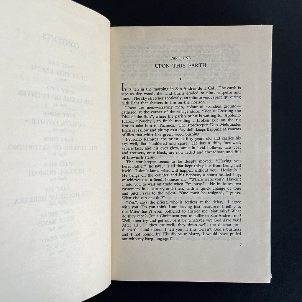 Sunburst by Mauricio Magdaleno