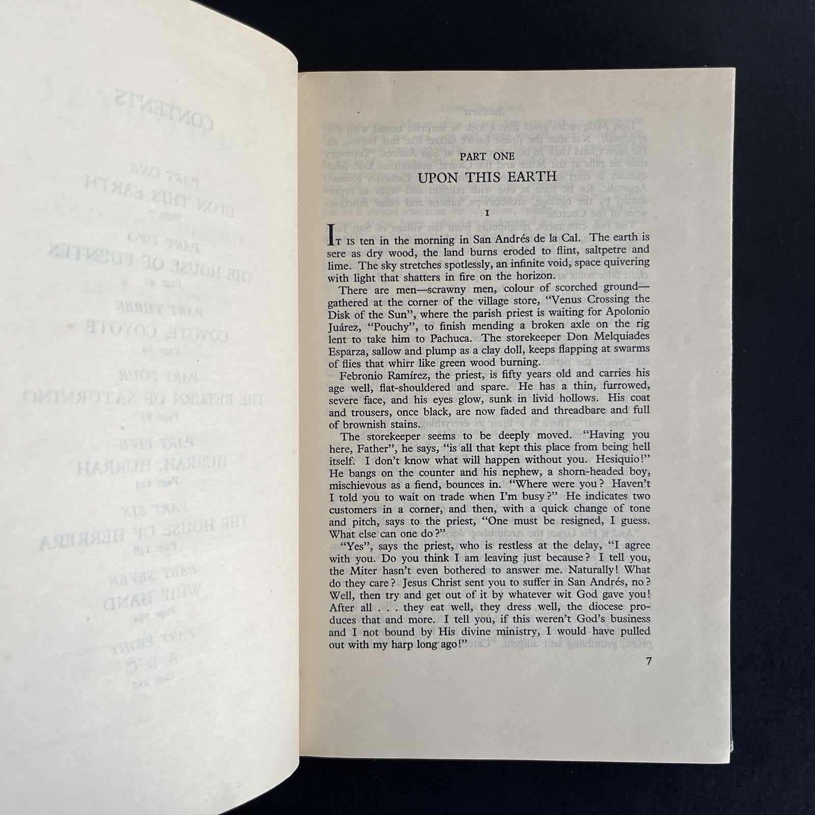 Sunburst by Mauricio Magdaleno