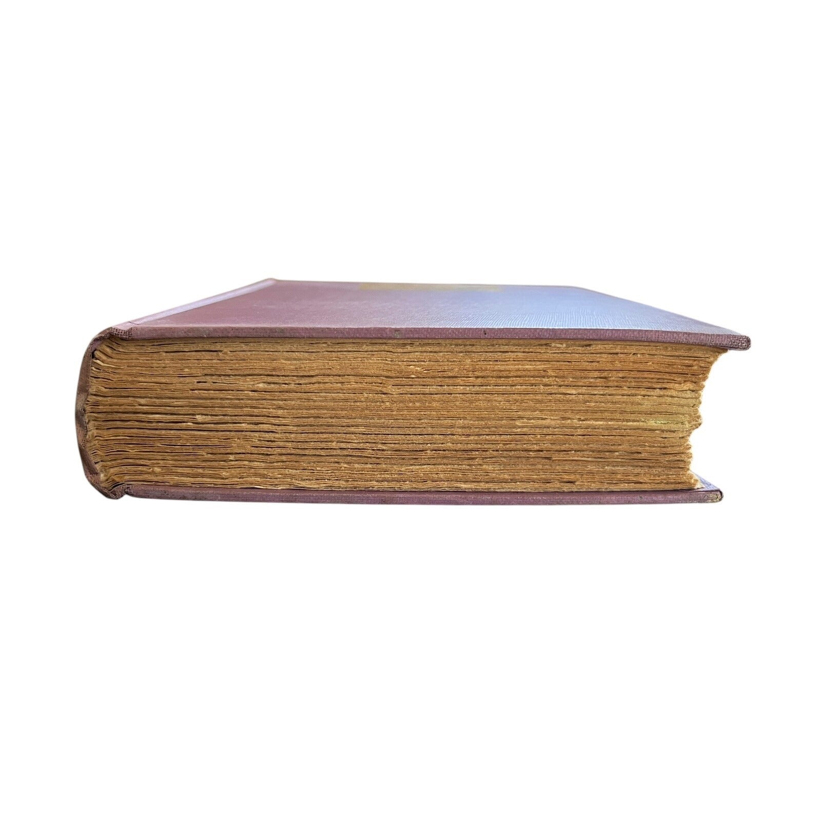 Murder Day by Day by Irvin S. Cobb