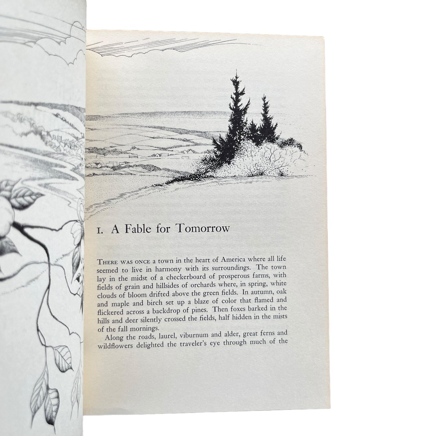 Silent Spring by Rachel Carson