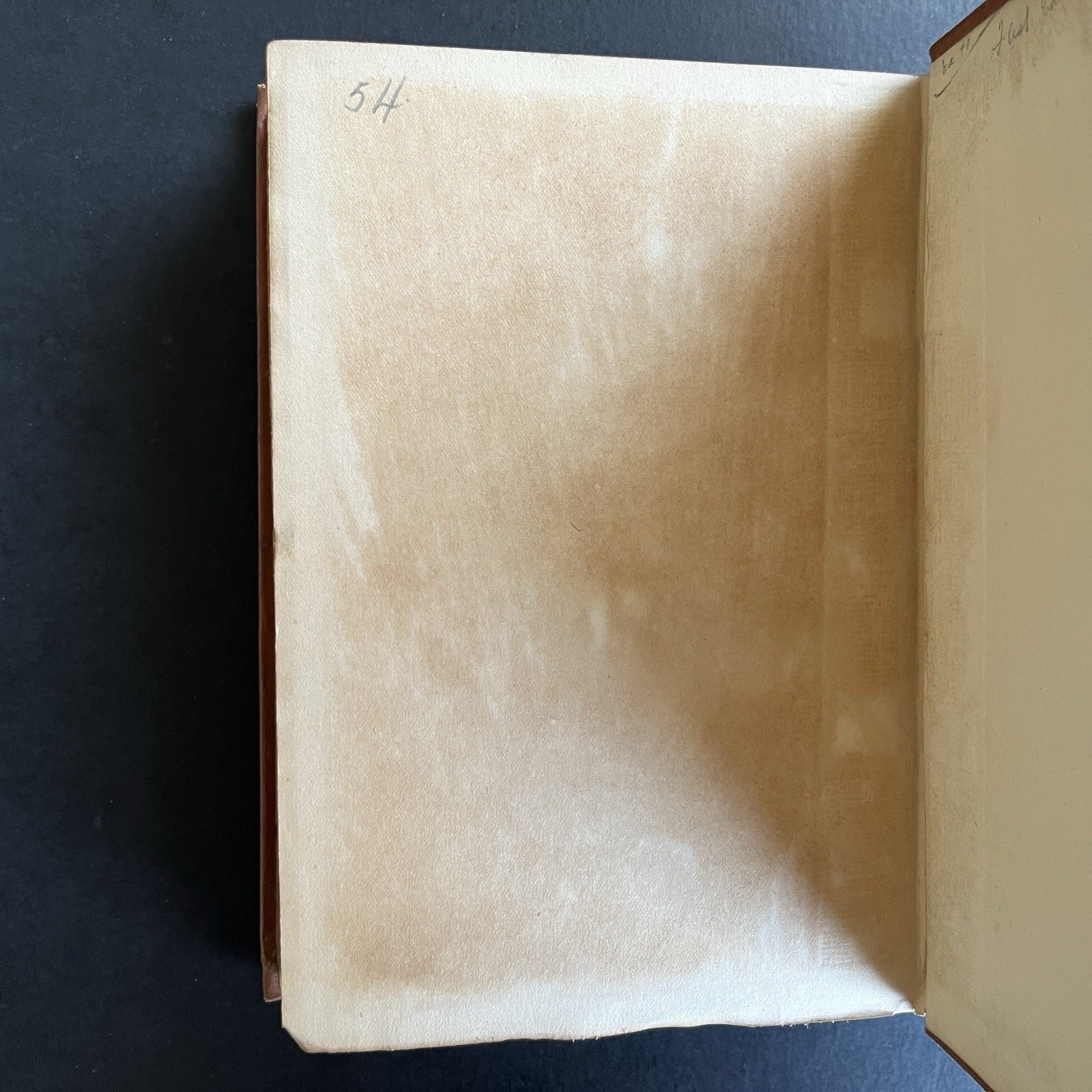 Zuleika Dobson by Max Beerbohm