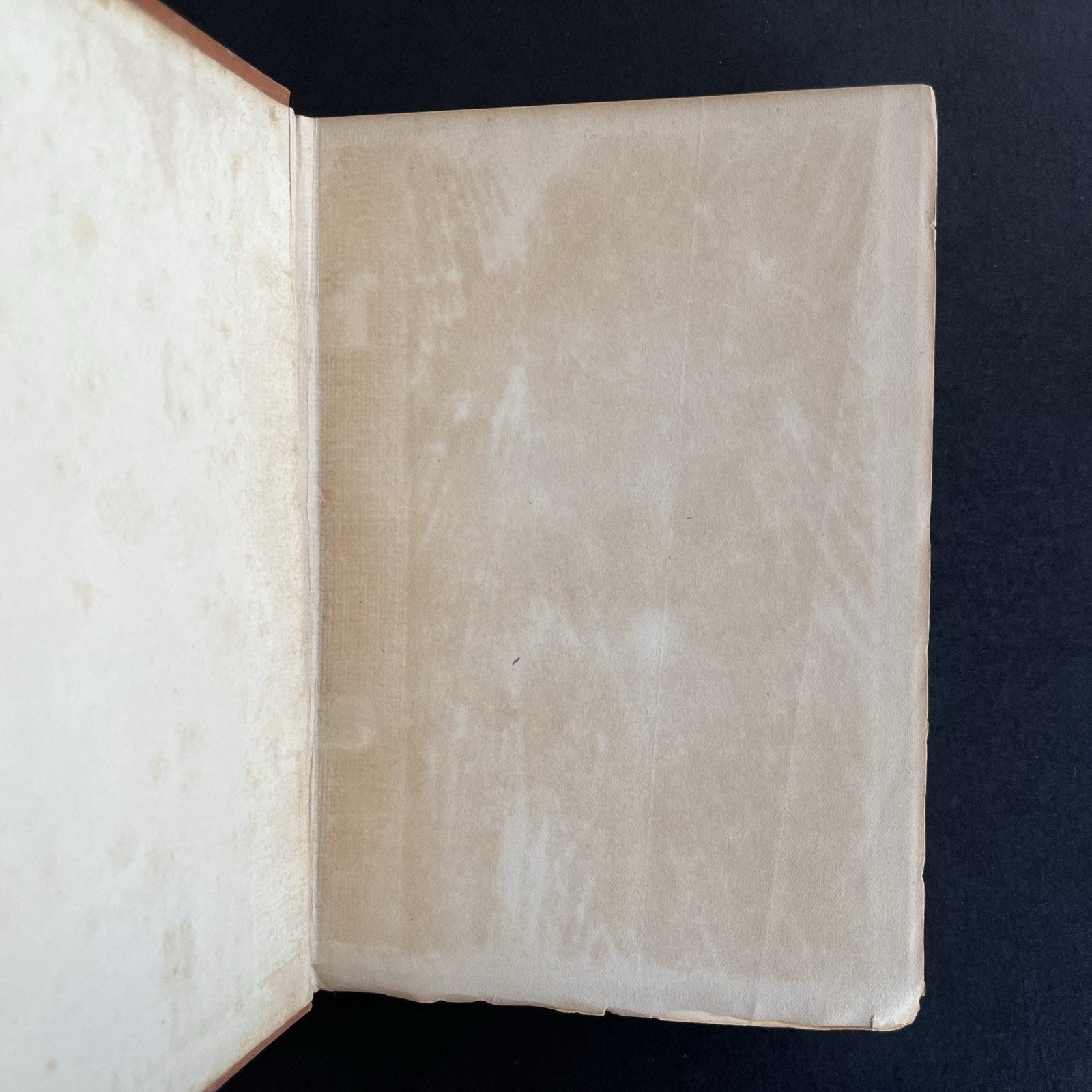 Zuleika Dobson by Max Beerbohm