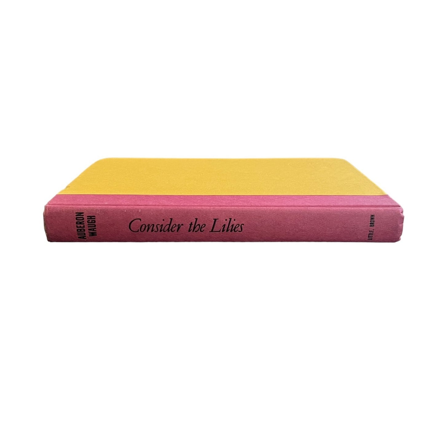 Consider the Lilies by Auberon Waugh