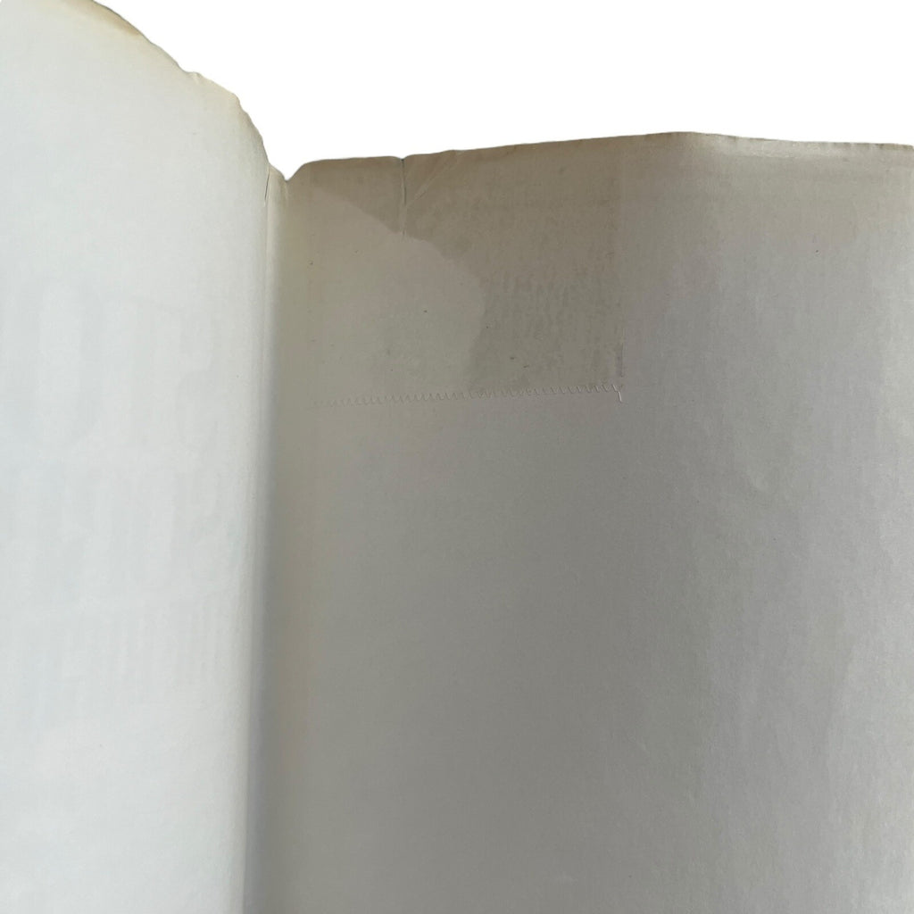 Storm and Sorrow in the High Pamirs by Robert W. Craig