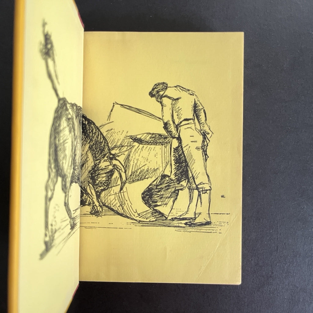 Lady Bullfighter by Patricia McCormick