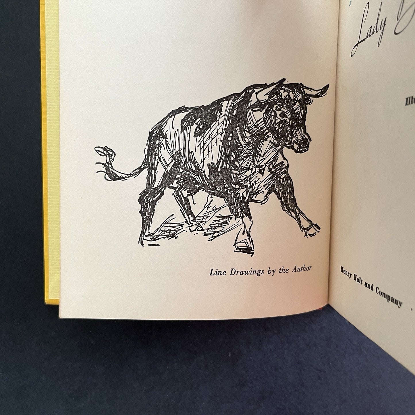Lady Bullfighter by Patricia McCormick