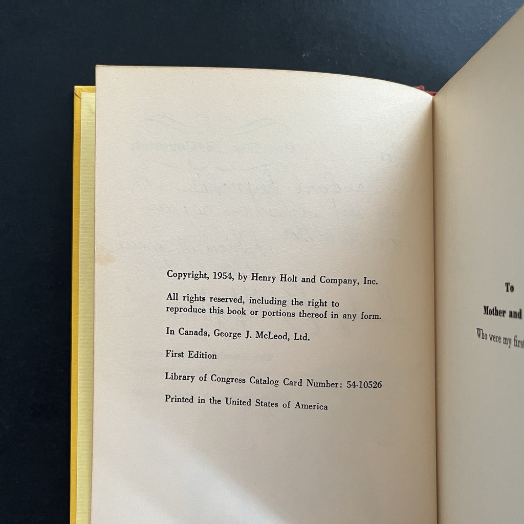 Lady Bullfighter by Patricia McCormick