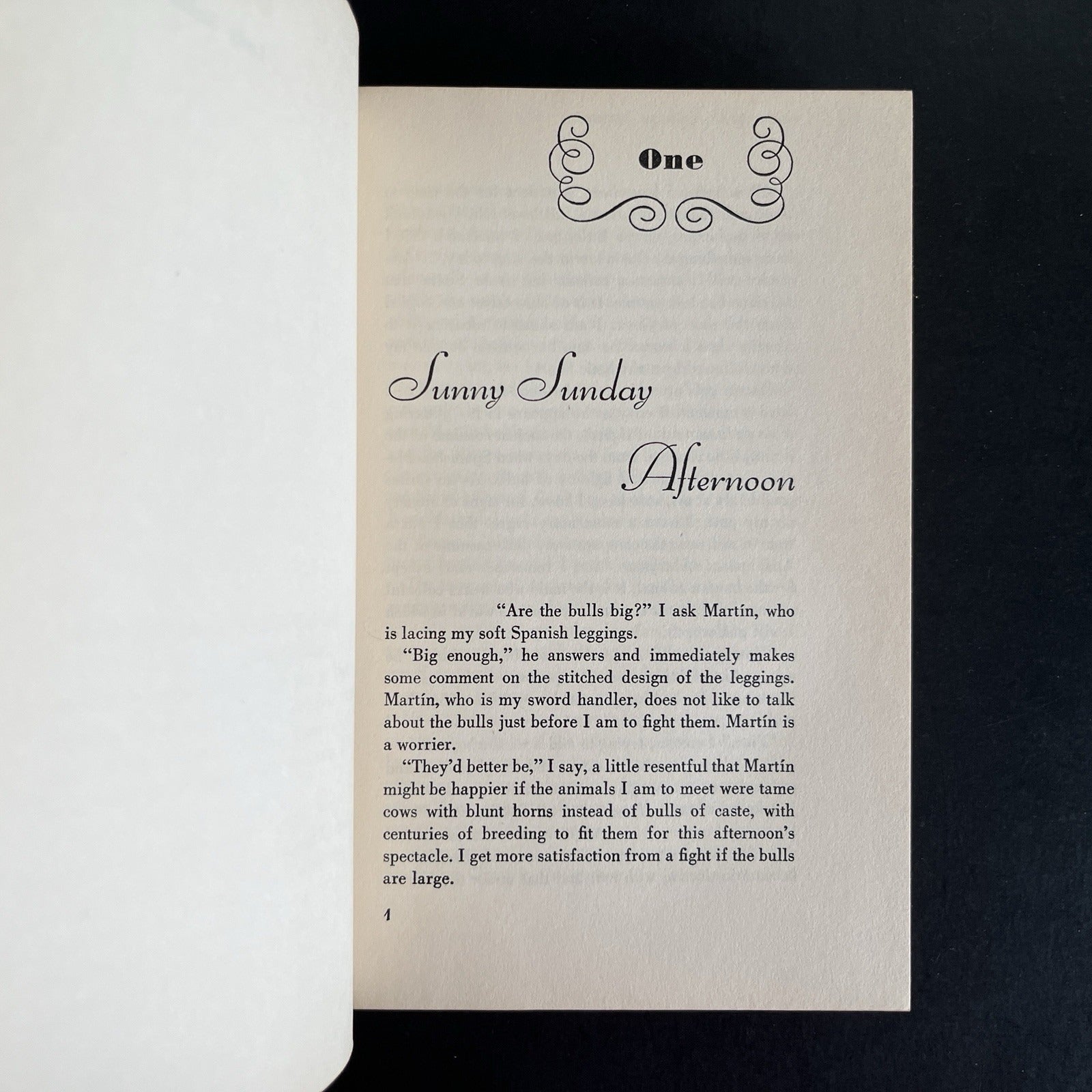 Lady Bullfighter by Patricia McCormick