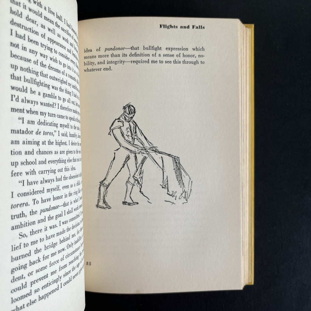 Lady Bullfighter by Patricia McCormick