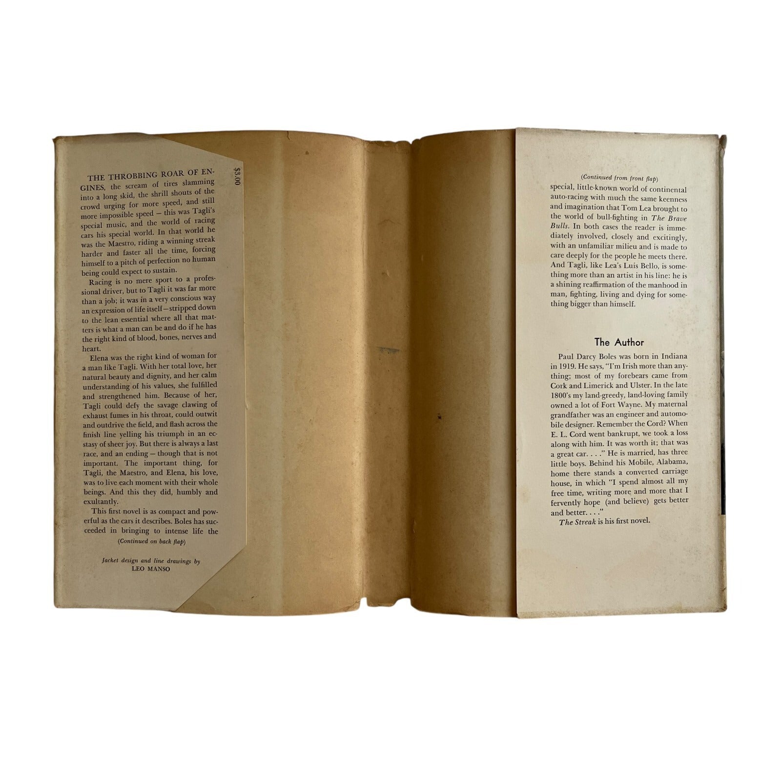 The Streak by Paul Darcy Boles