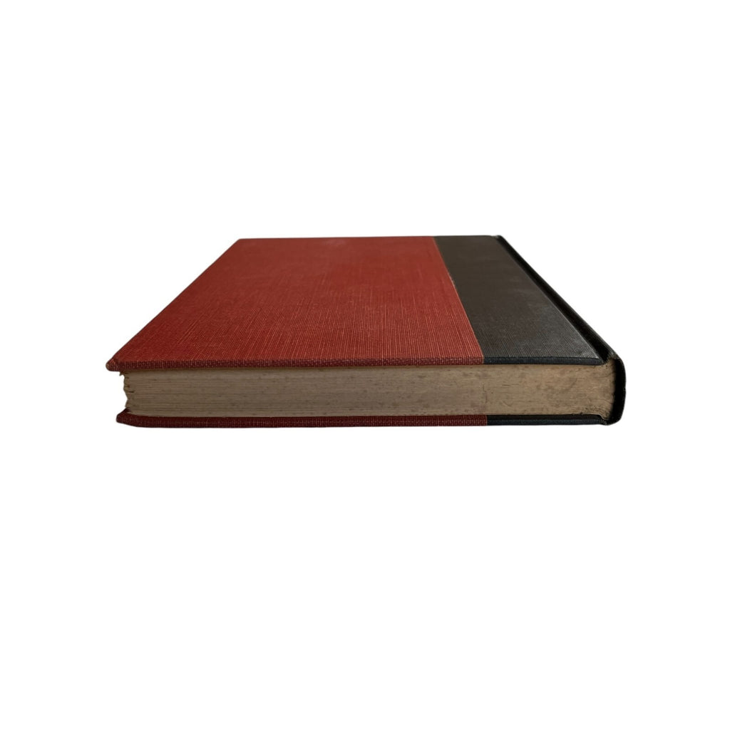 The Streak by Paul Darcy Boles