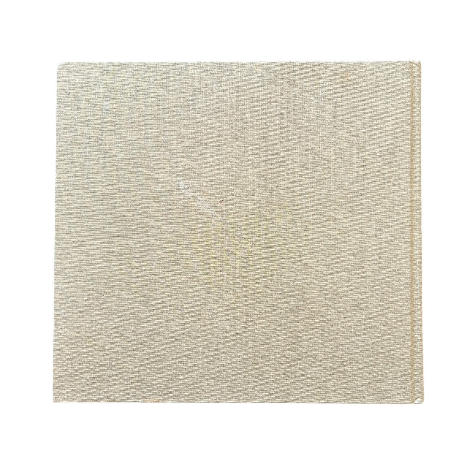 Camera Obscura by Abelardo Morell