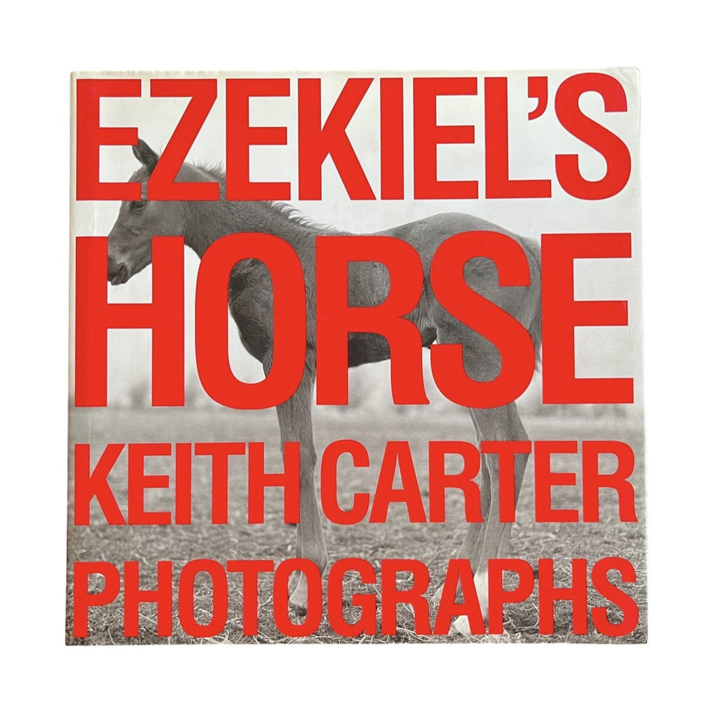 Ezekiel's Horse by Keith Carter