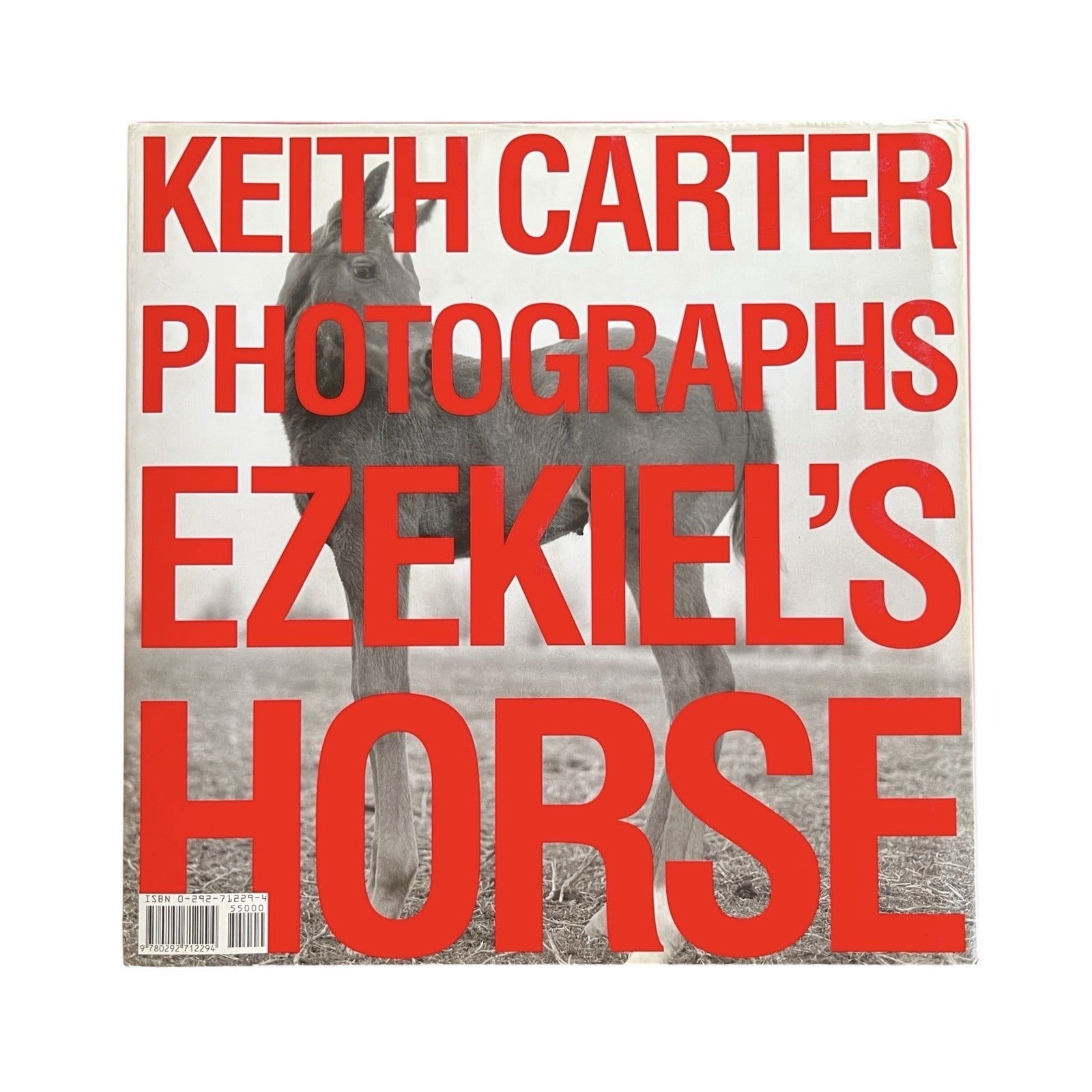 Ezekiel's Horse by Keith Carter