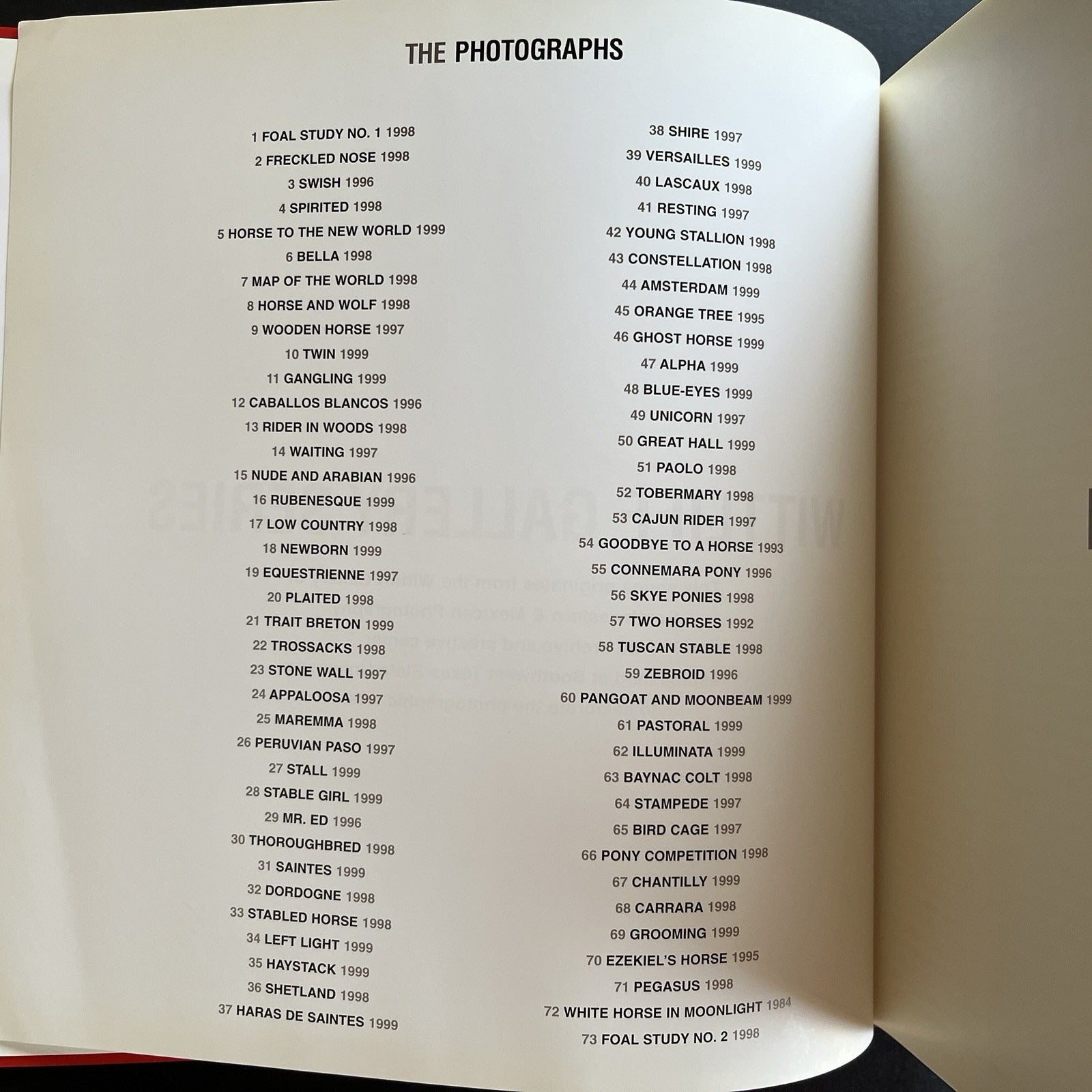 Ezekiel's Horse by Keith Carter