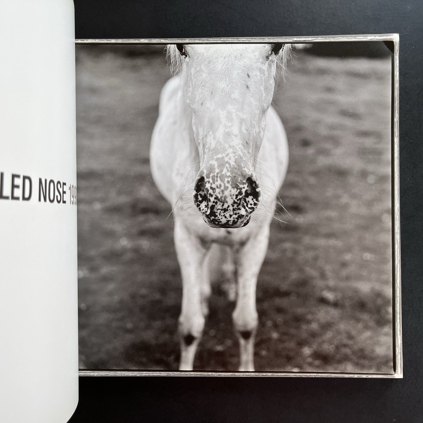 Ezekiel's Horse by Keith Carter