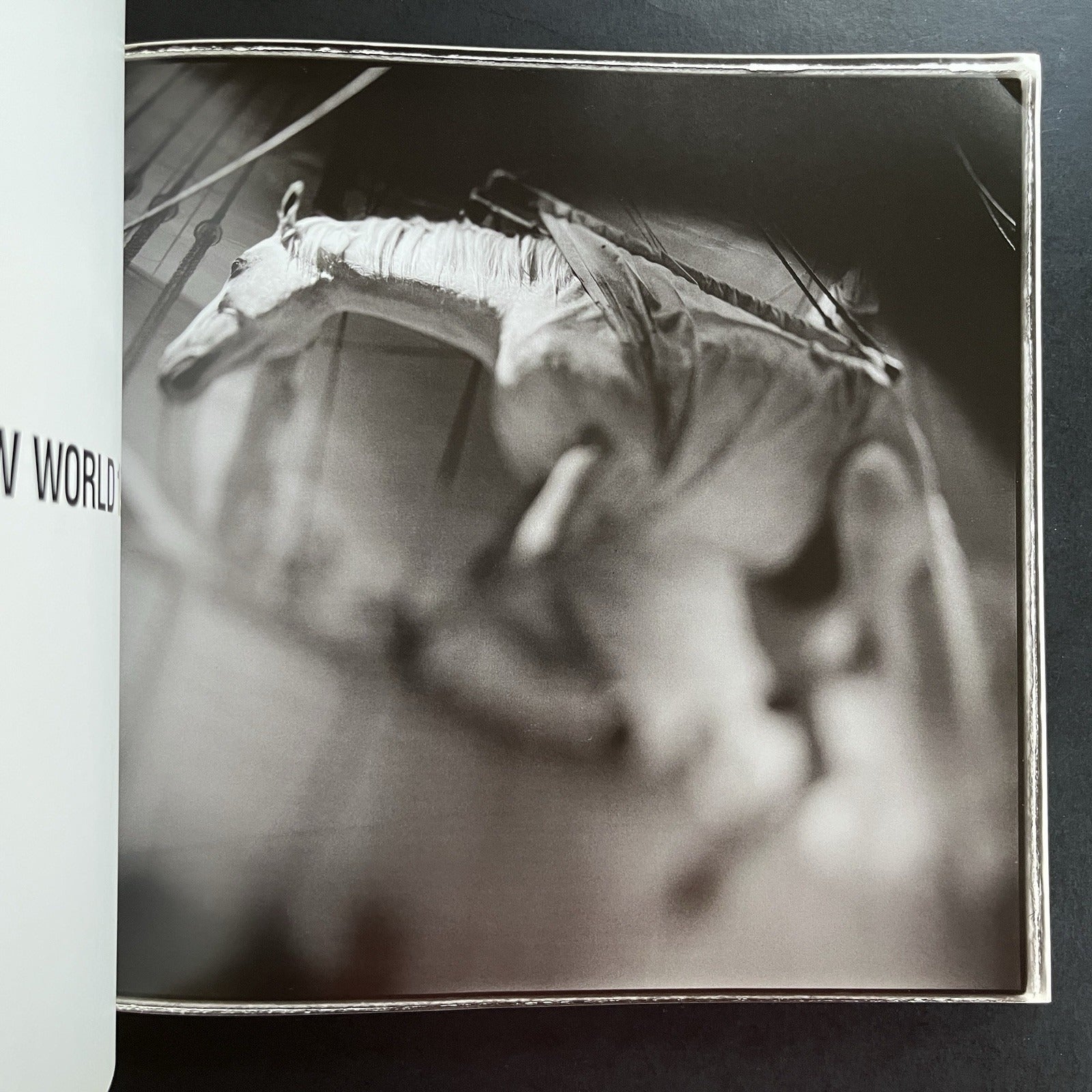 Ezekiel's Horse by Keith Carter