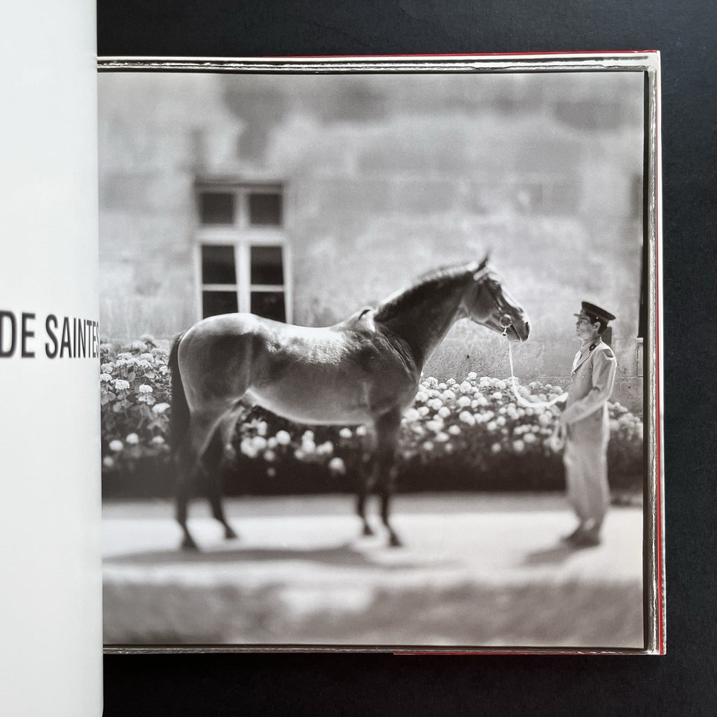 Ezekiel's Horse by Keith Carter