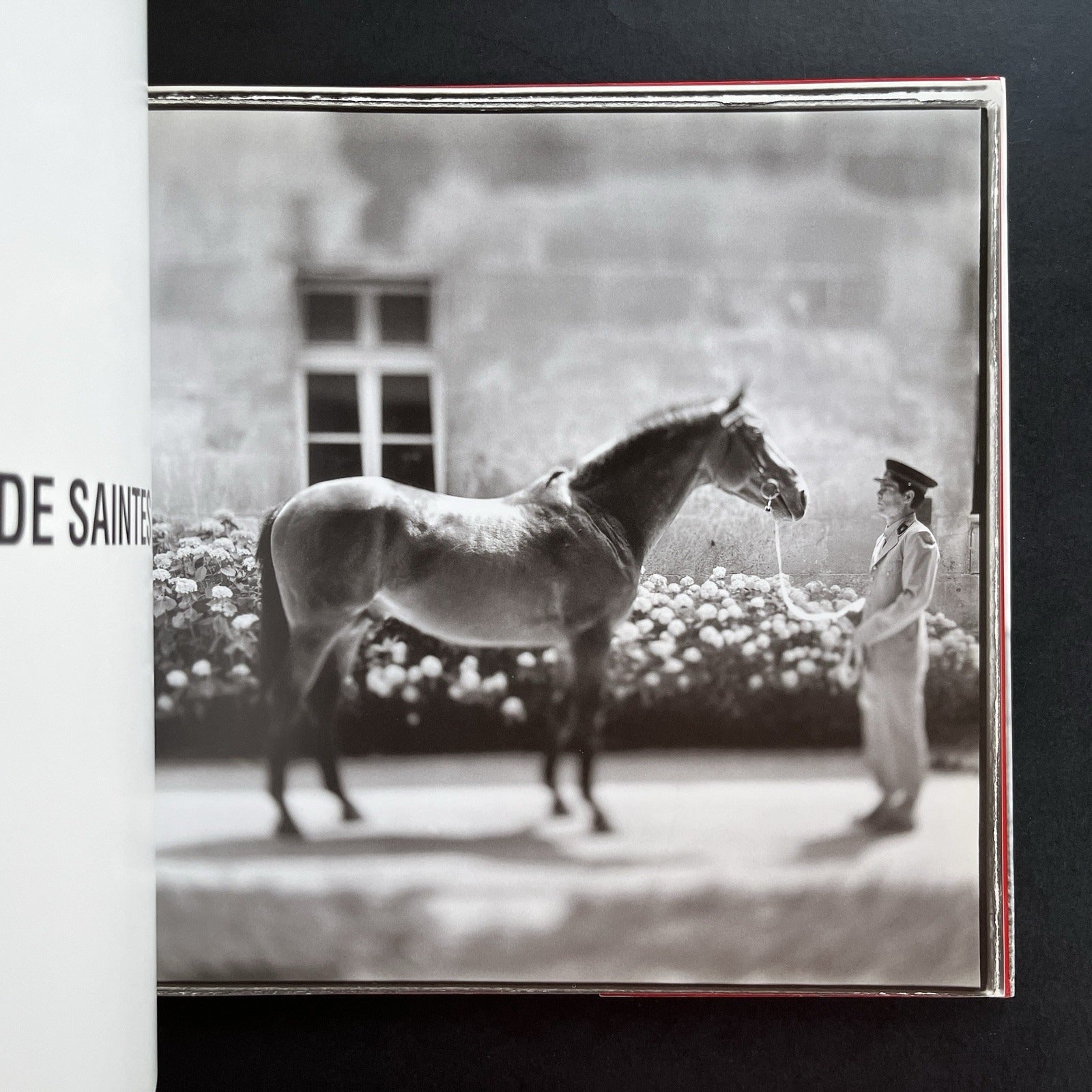 Ezekiel's Horse by Keith Carter