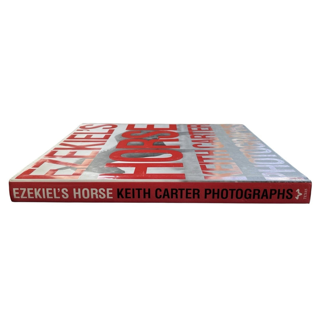Ezekiel's Horse by Keith Carter