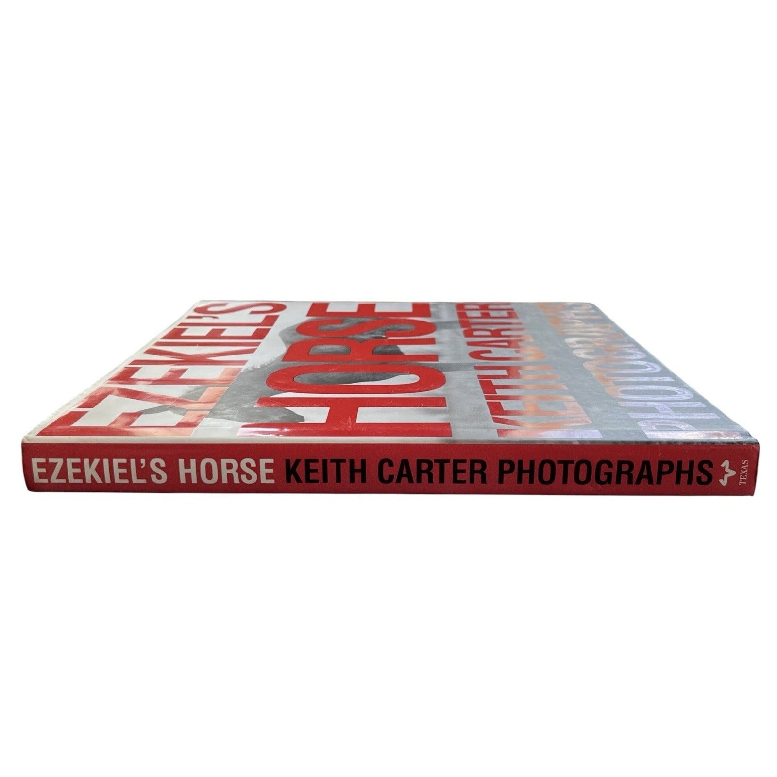 Ezekiel's Horse by Keith Carter