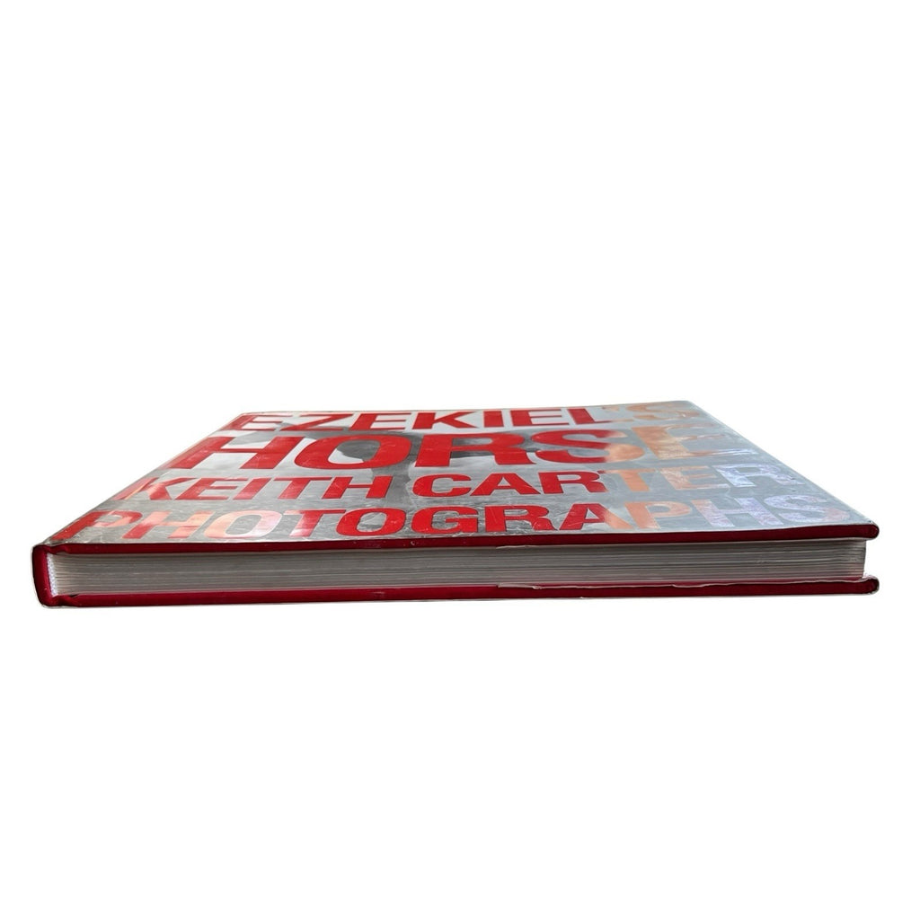 Ezekiel's Horse by Keith Carter