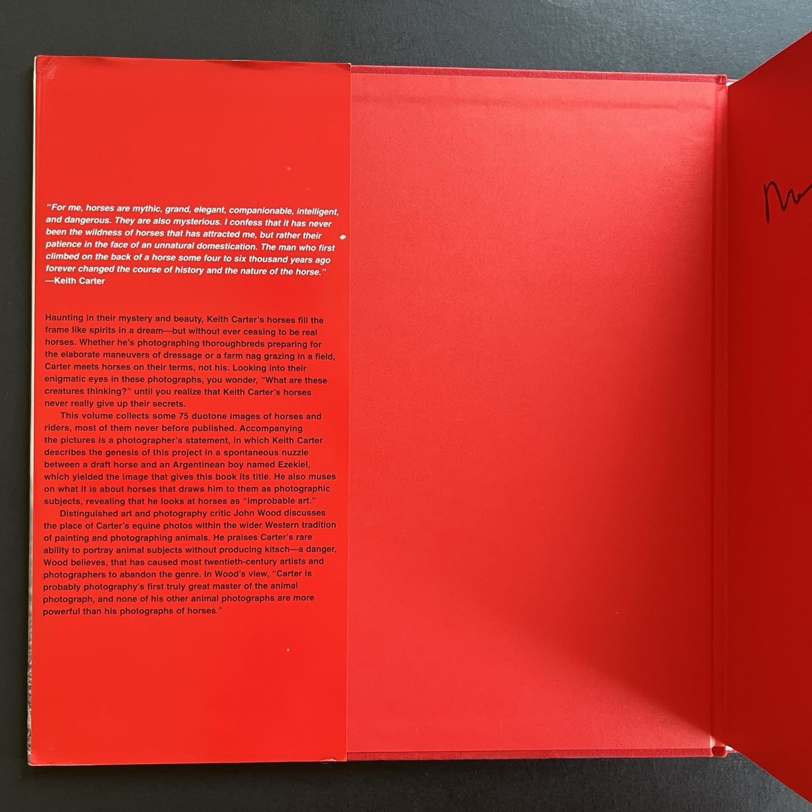 Ezekiel's Horse by Keith Carter