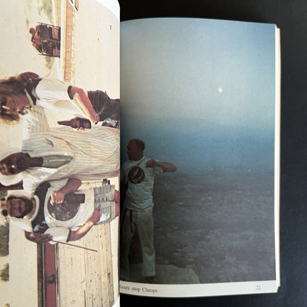 Truckin' with The Grateful Dead to Egypt by Robert Nichols