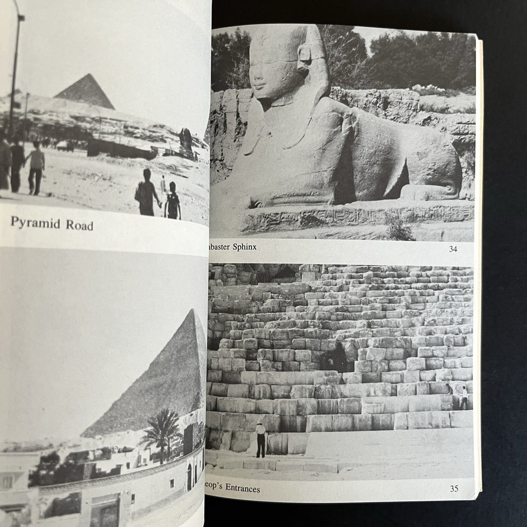 Truckin' with The Grateful Dead to Egypt by Robert Nichols