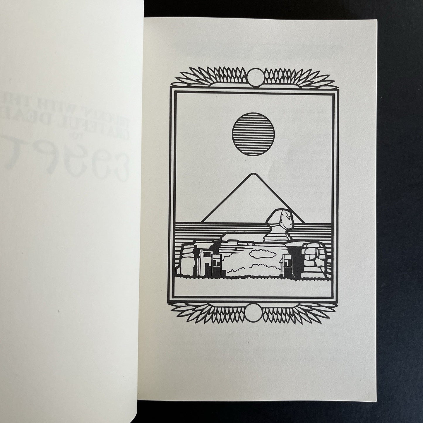 Truckin' with The Grateful Dead to Egypt by Robert Nichols