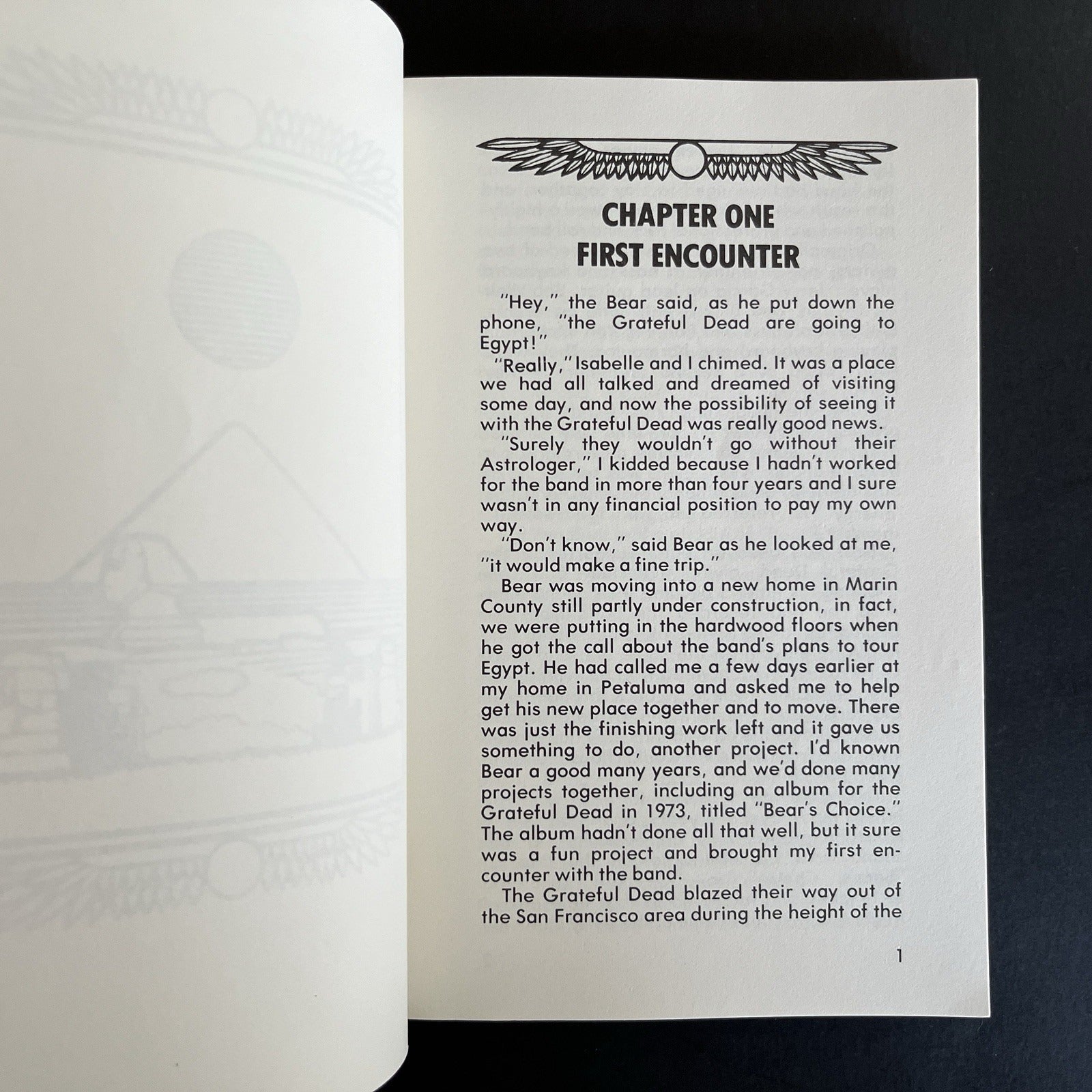 Truckin' with The Grateful Dead to Egypt by Robert Nichols